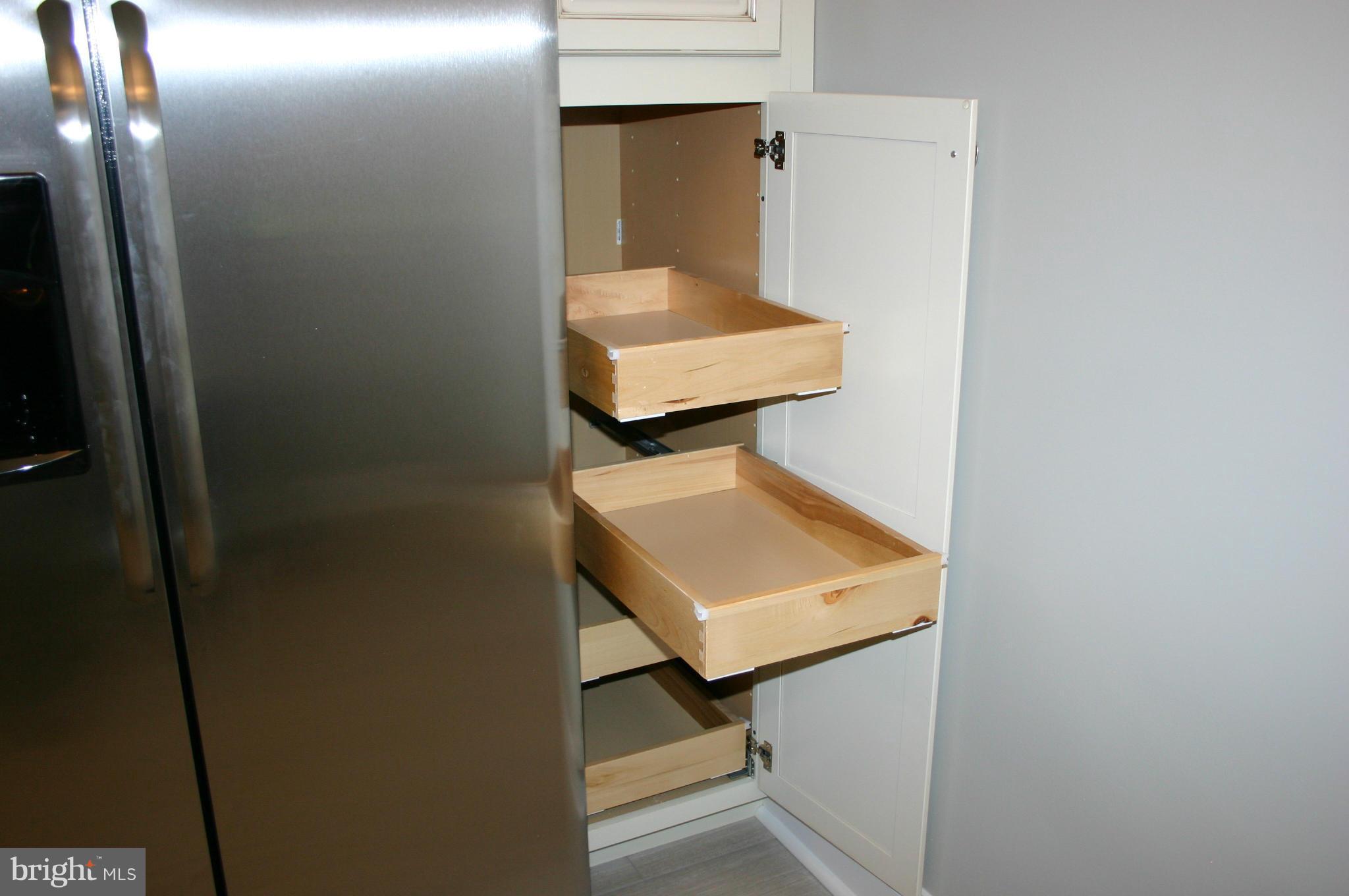 16710 Hampton Road Williamsport, MD 21795 - Photo 15 of 30 Pull Out Pantry Shelves