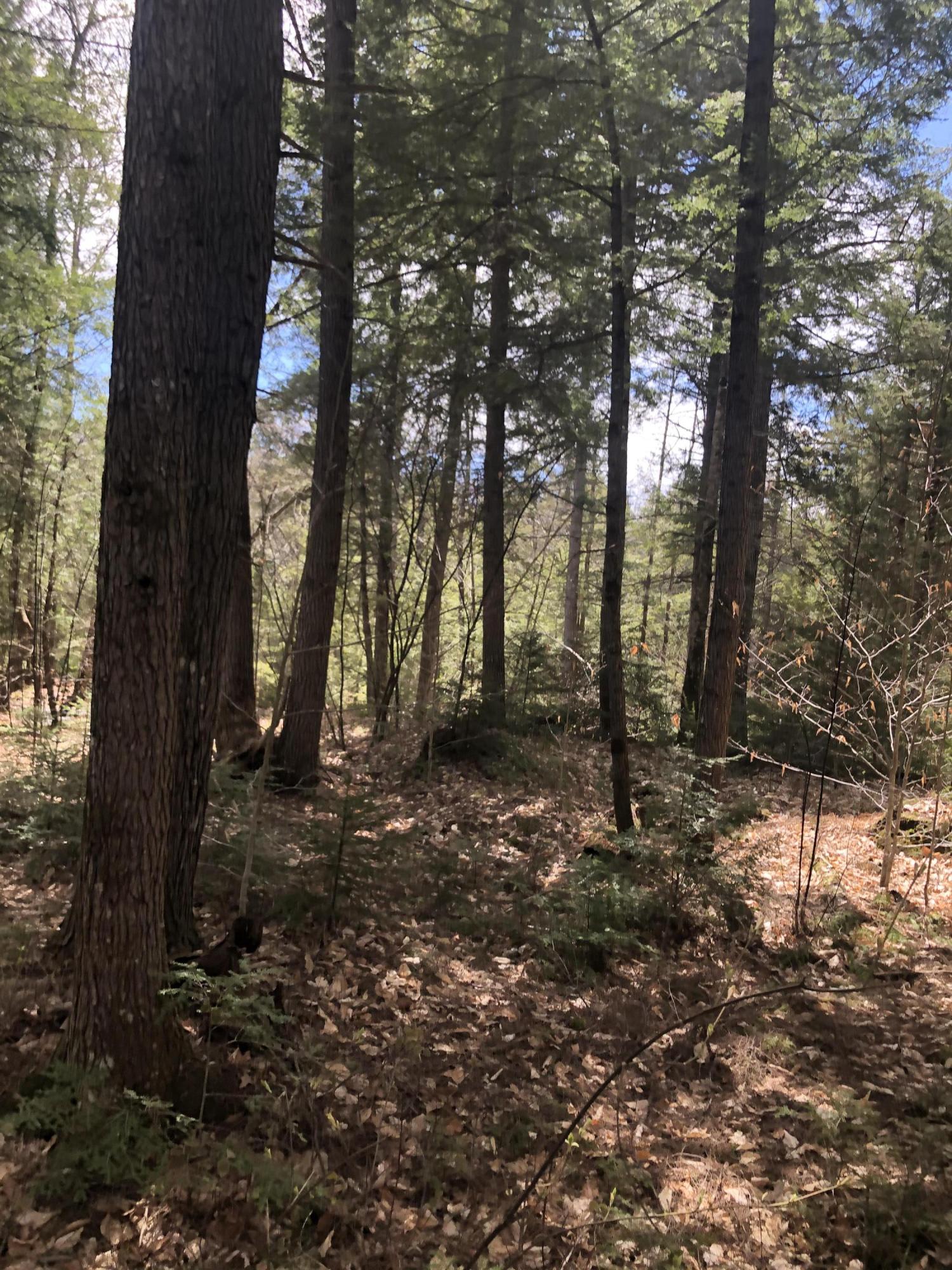 Lot 30 Portland Road Bridgton, ME 04009 - Photo 4 of 13 Photo May 05, 1 03 44 PM