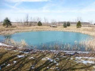 14010 Stowell Road Dundee, MI 48131 - Photo 3 of 10 Photo 3