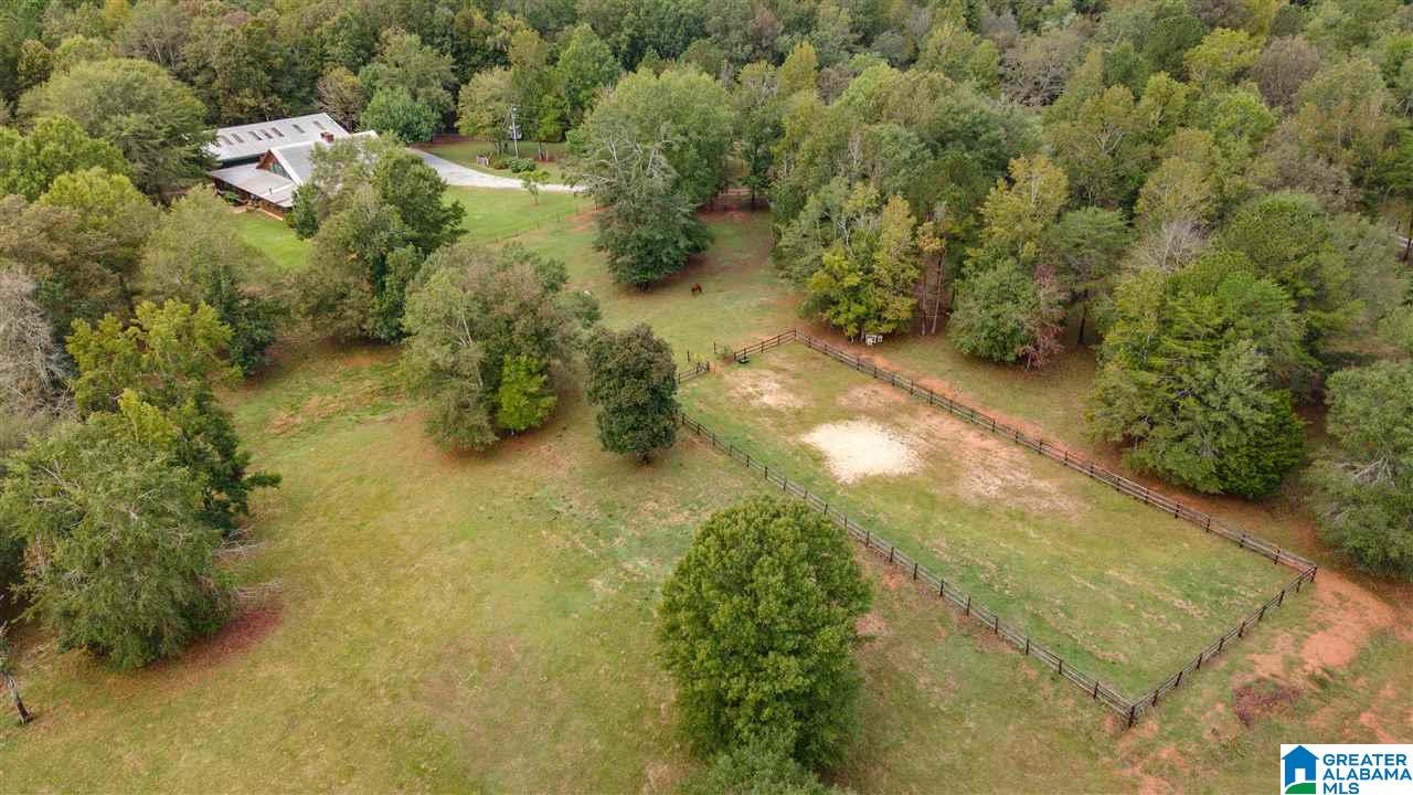 1645 County Road 153 Jemison, AL 35085 - Photo 42 of 50