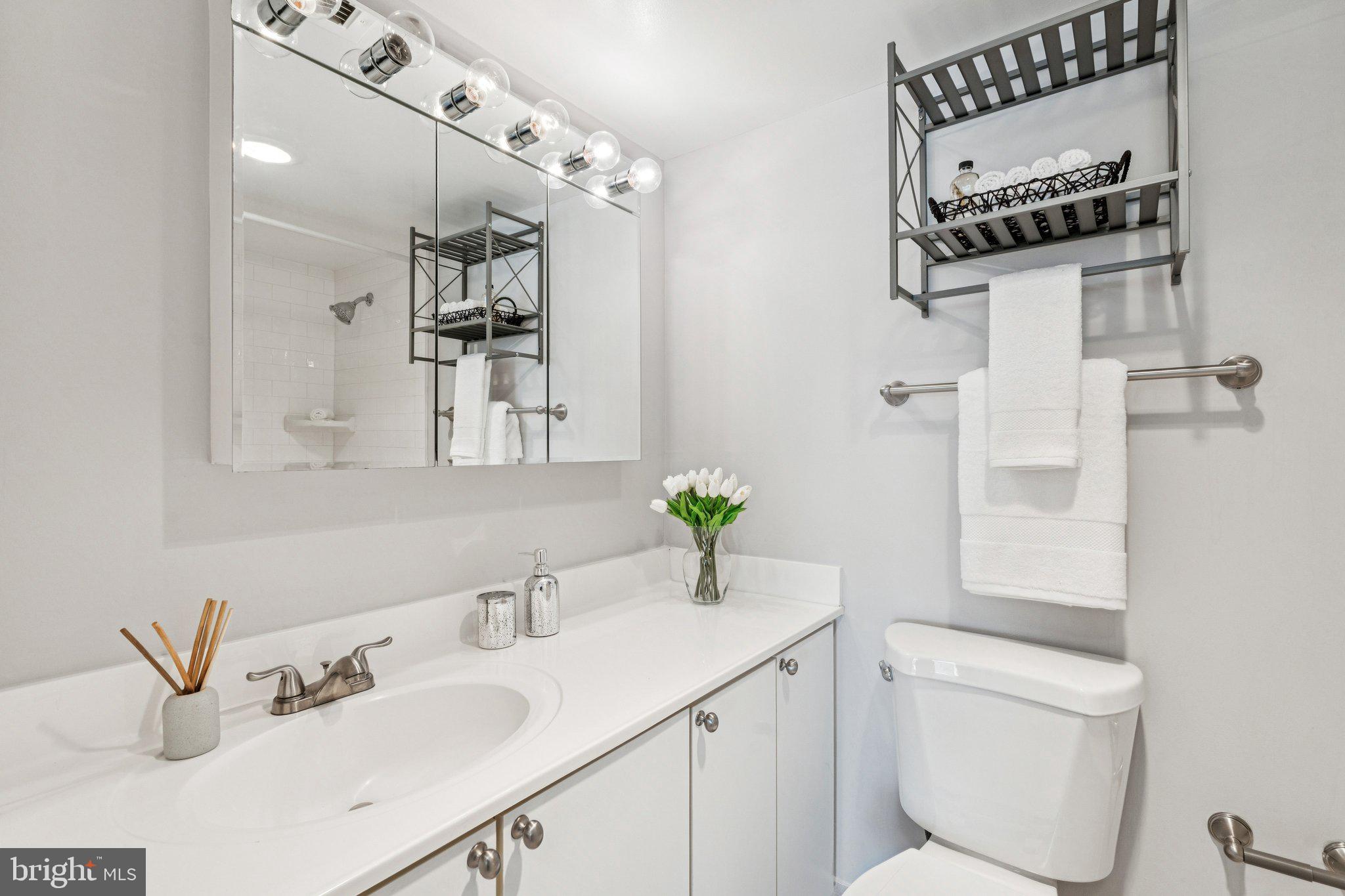 400 Madison Street, Unit 603 Alexandria, VA 22314 - Photo 22 of 46 a bathroom with a sink a toilet and mirror