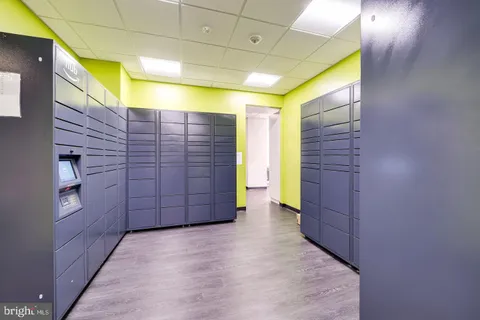 a park view with tall buildings