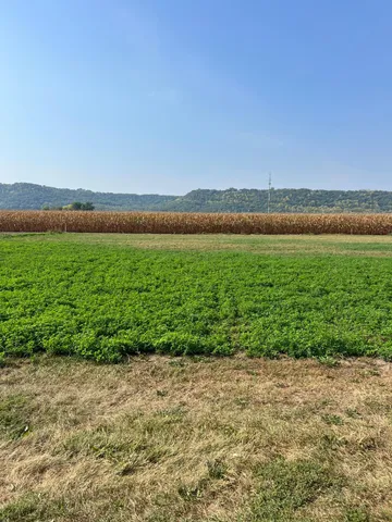 $65,000 | 1610 River Drive South, Wabasha, MN 55981