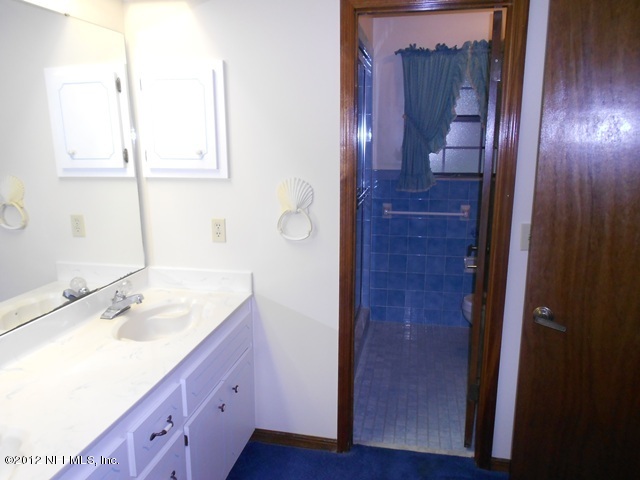 1195 Hatcher Road Middleburg, FL 32068 - Photo 15 of 27 a bathroom with a sink and a mirror