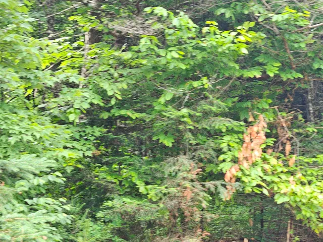 $250,000 | 101 New Boston Road, Lyndonville, VT 05851