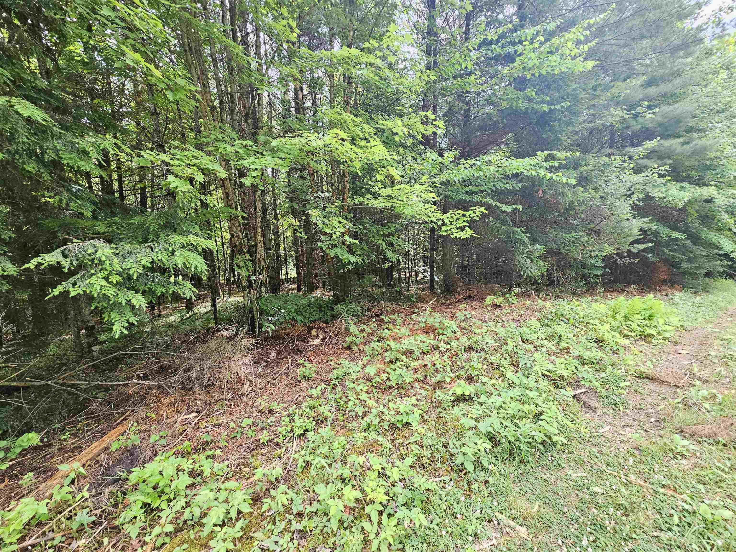 101 New Boston Road Lyndonville, VT 05851 - Photo 15 of 28 Gallery Image 15