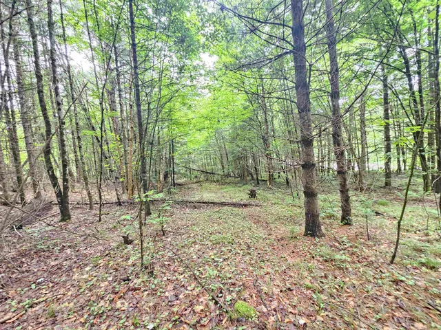 $250,000 | 101 New Boston Road, Lyndonville, VT 05851