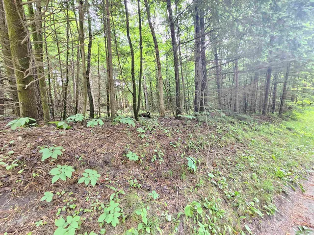 $250,000 | 101 New Boston Road, Lyndonville, VT 05851