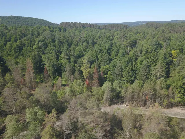 $250,000 | 101 New Boston Road, Lyndonville, VT 05851