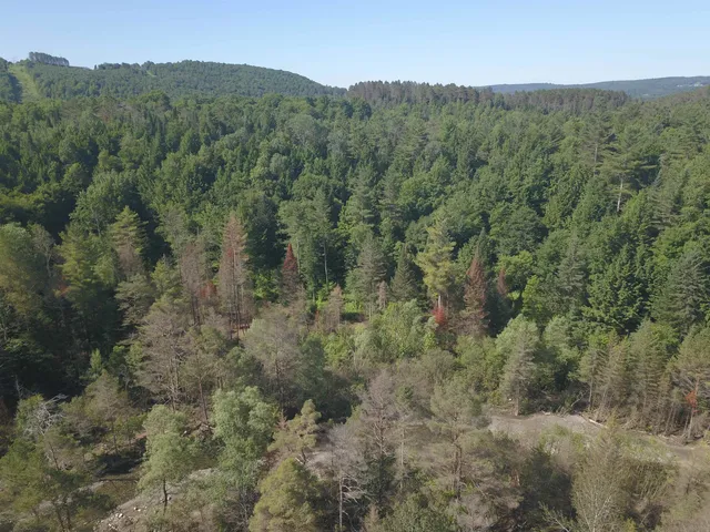 $250,000 | 101 New Boston Road, Lyndonville, VT 05851