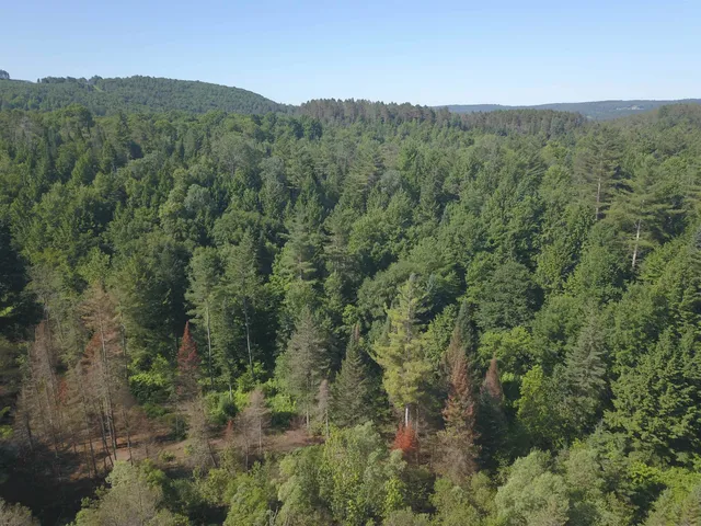 $250,000 | 101 New Boston Road, Lyndonville, VT 05851