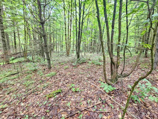 $250,000 | 101 New Boston Road, Lyndonville, VT 05851