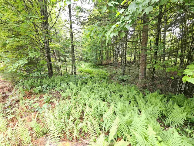 $250,000 | 101 New Boston Road, Lyndonville, VT 05851