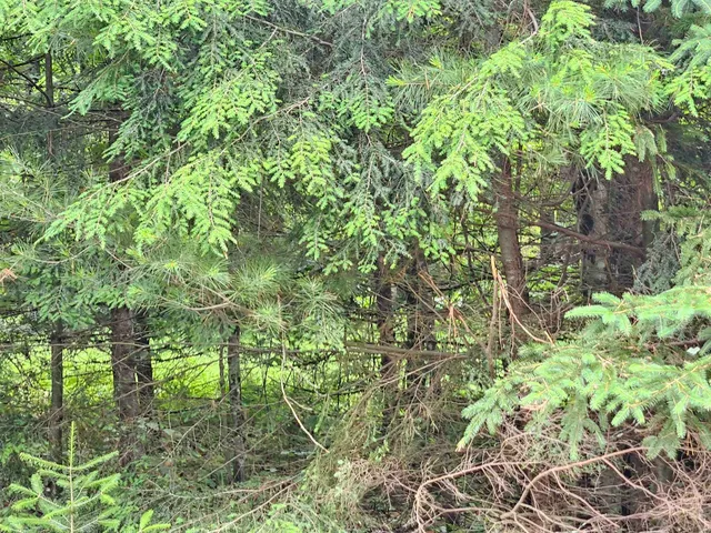 $250,000 | 101 New Boston Road, Lyndonville, VT 05851