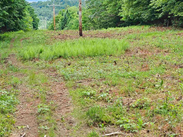 $250,000 | 101 New Boston Road, Lyndonville, VT 05851