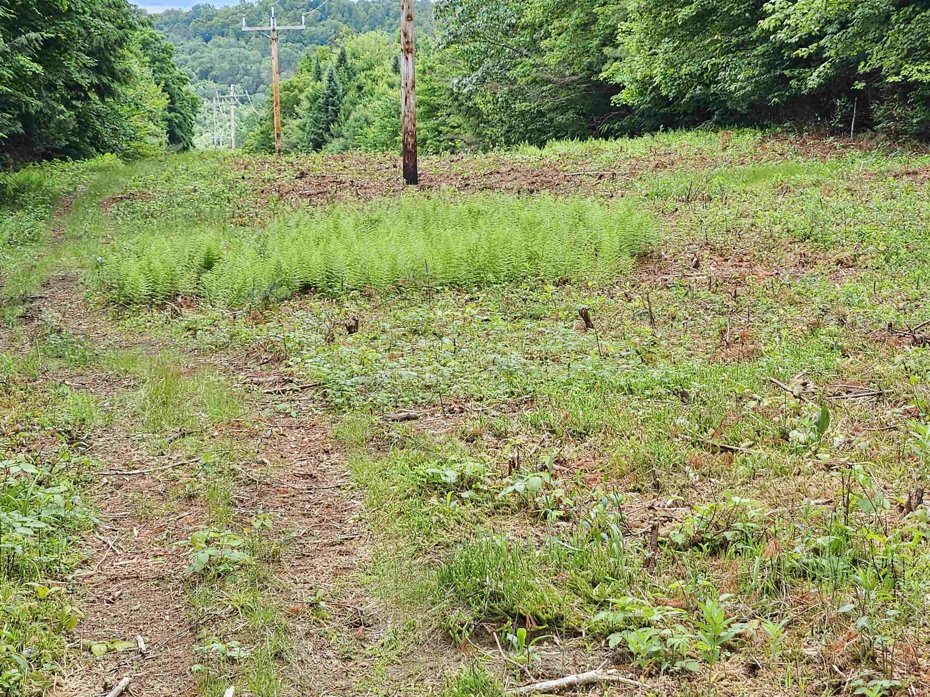 101 New Boston Road Lyndonville, VT 05851 - Photo 8 of 28 Gallery Image 8