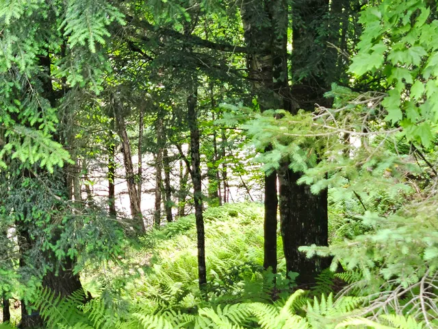 $250,000 | 101 New Boston Road, Lyndonville, VT 05851