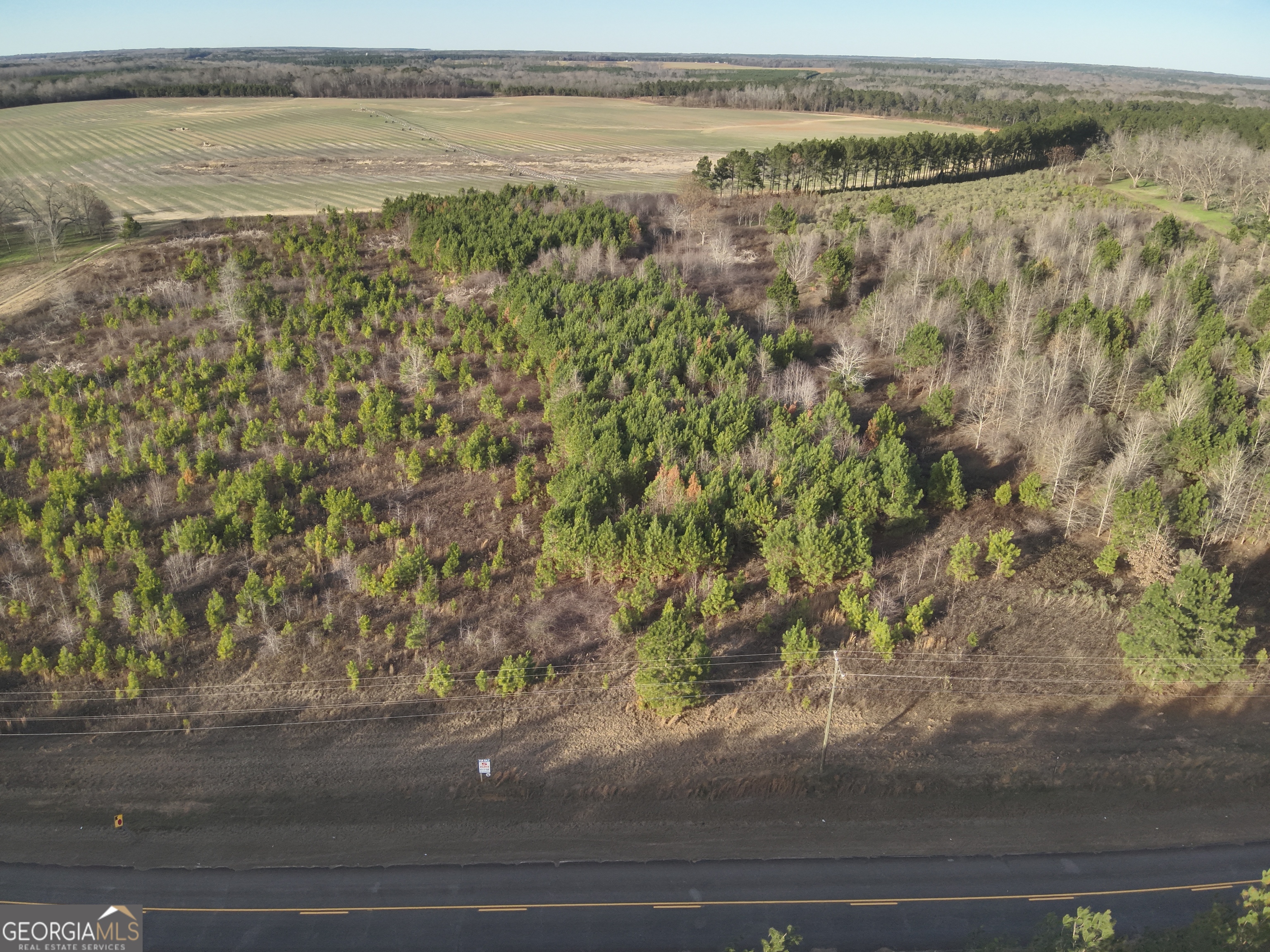 4 North County Line Road Elko, GA 31025 - Photo 2 of 5 a view of a lake with a mountain