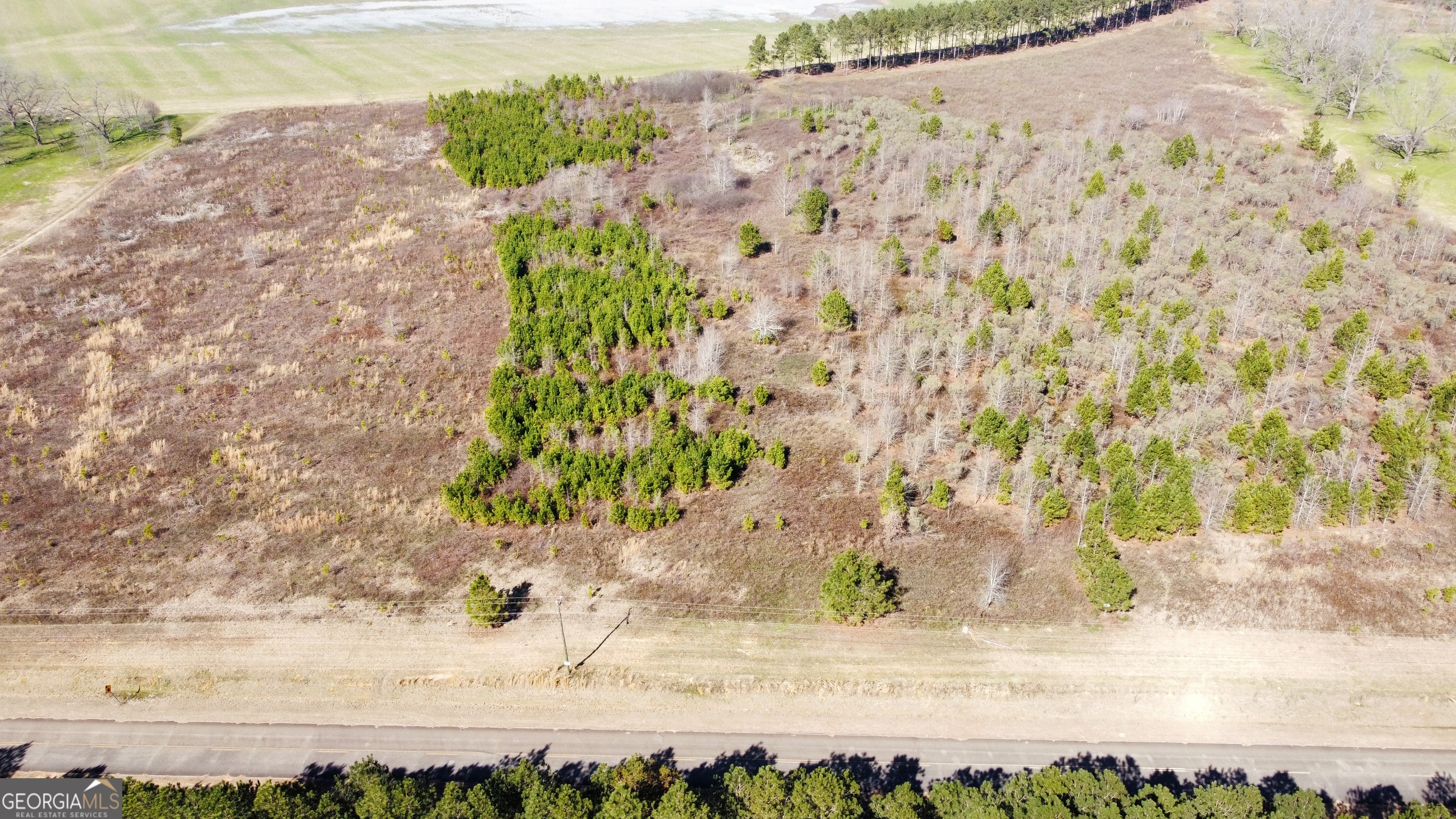 4 North County Line Road Elko, GA 31025 - Photo 5 of 5 a picture of a yard with wooden fence