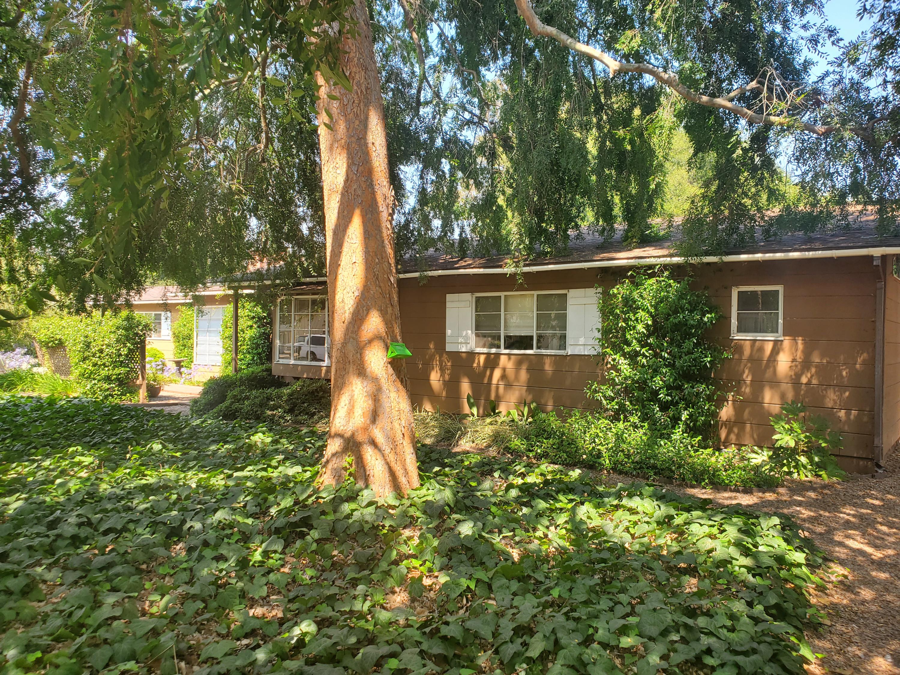 220 Arboleda Road Santa Barbara, CA 93110 - Photo 6 of 6 Shady front