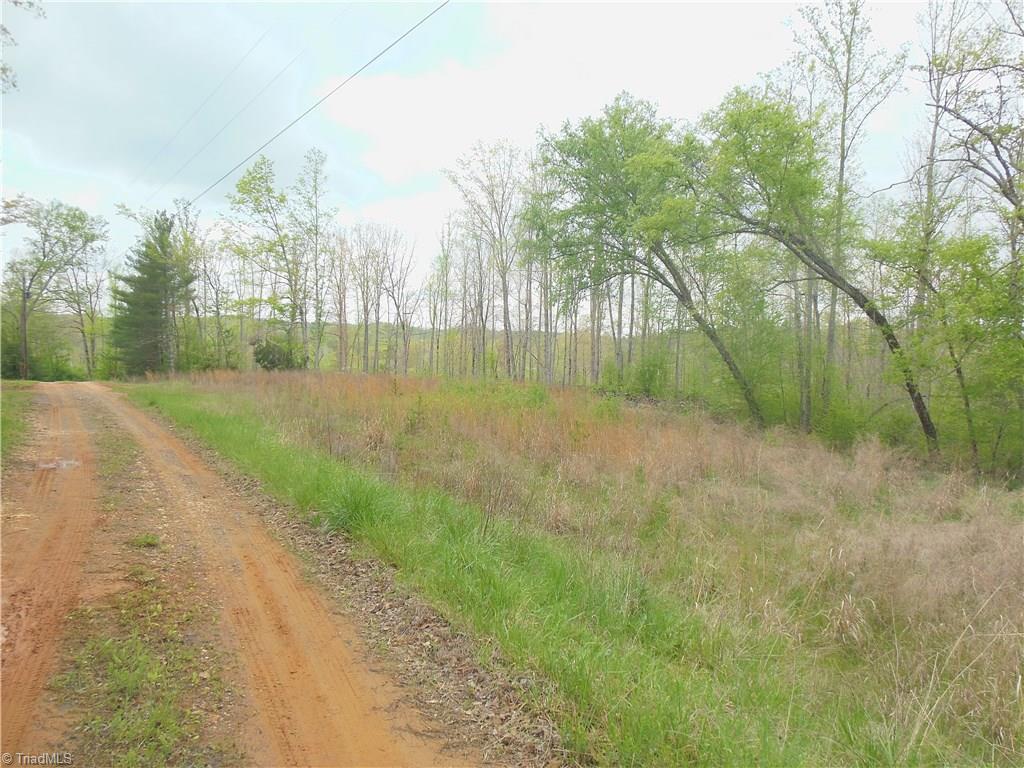 0 Wright Road Westfield, NC 27053 - Photo 1 of 5 Gallery Image 1