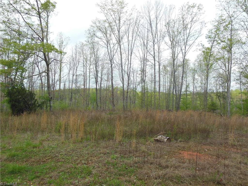 0 Wright Road Westfield, NC 27053 - Photo 4 of 5 Gallery Image 4
