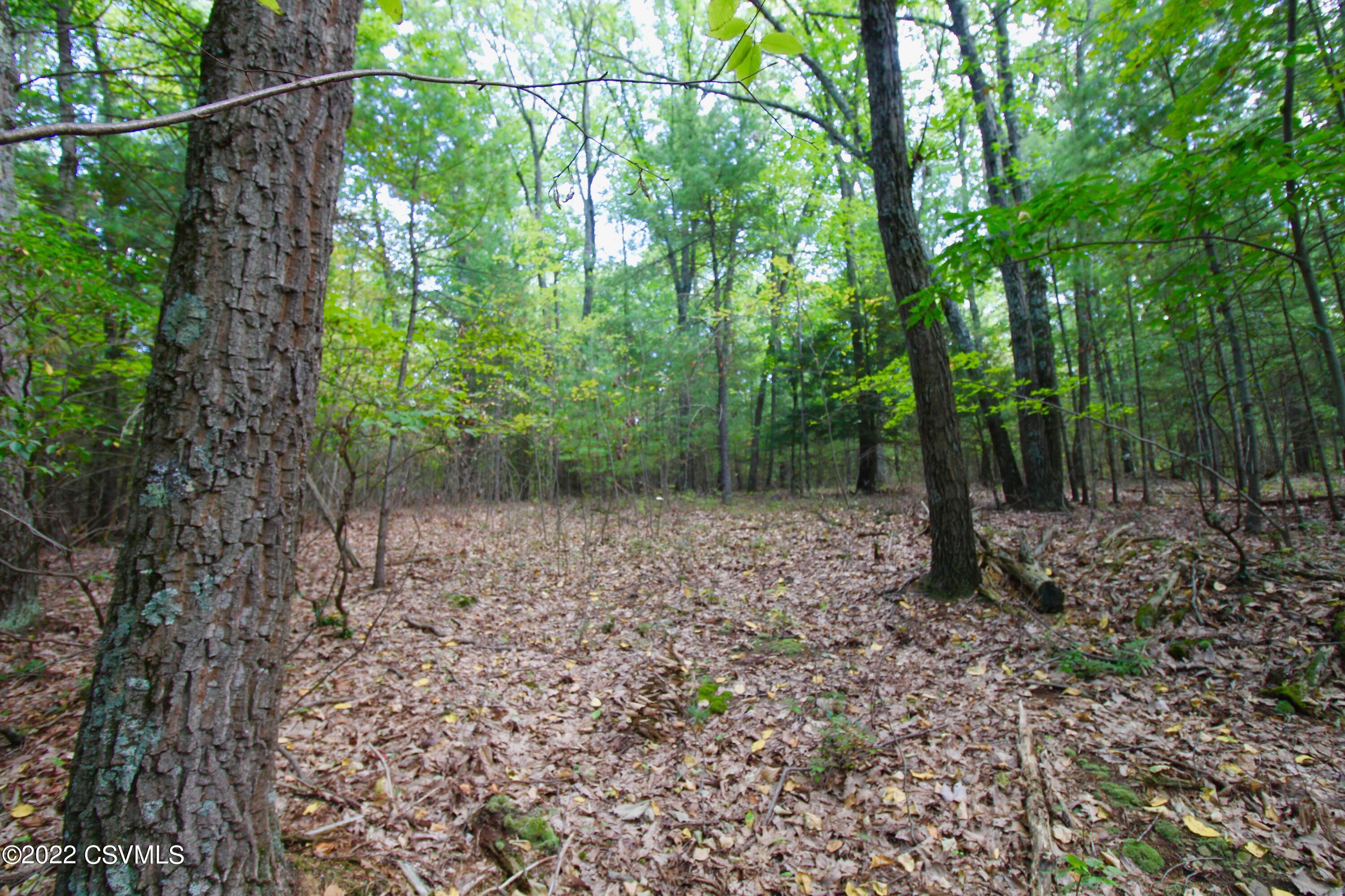 Hill Road Millville, PA 17846 - Photo 1 of 11