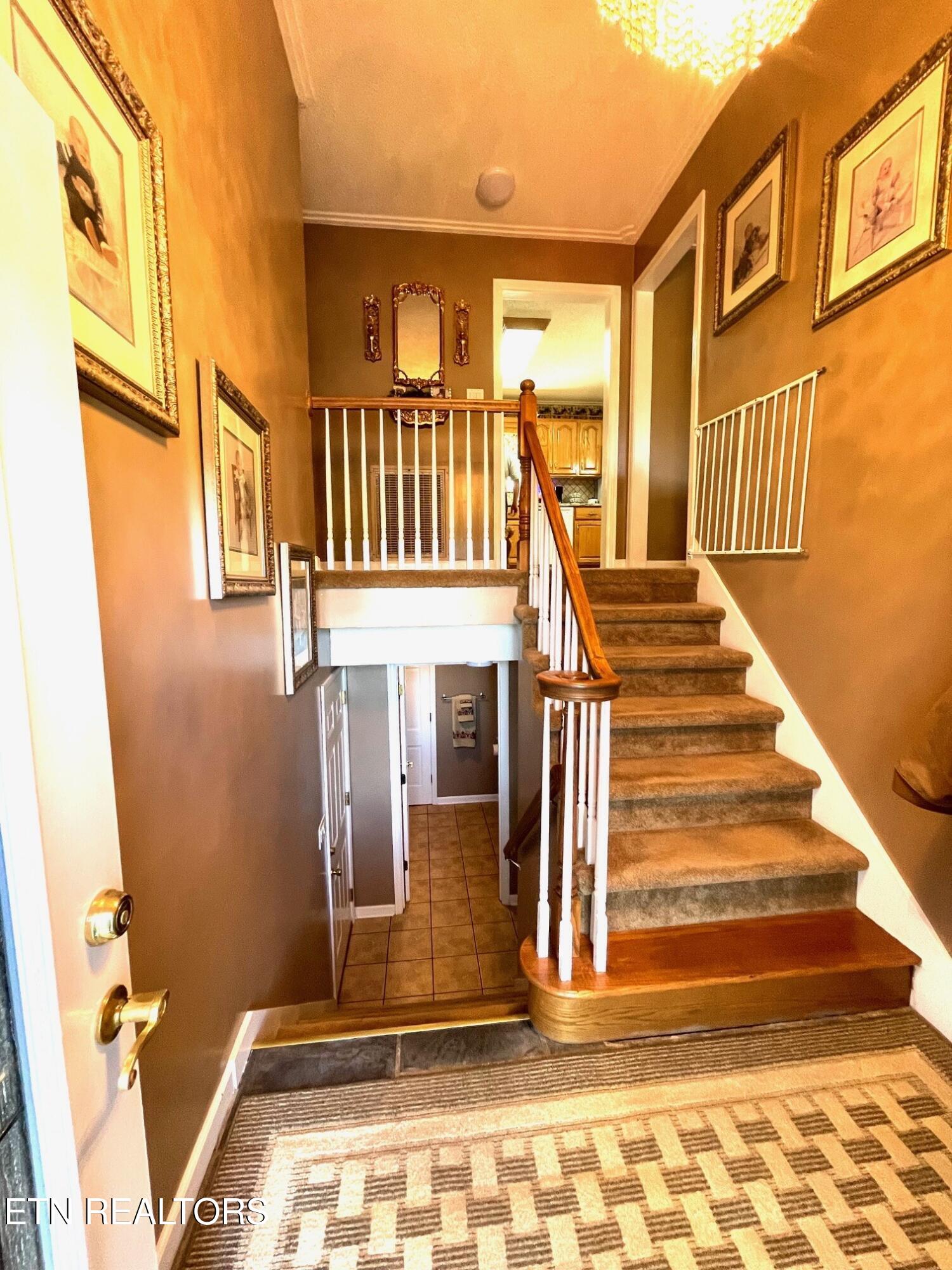 4648 Robindale Road Knoxville, TN 37921 - Photo 6 of 49 thumbnail_IMG_3062