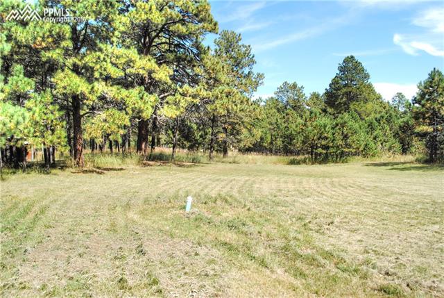 16245 Meridian Road Elbert, CO 80106 - Photo 22 of 24