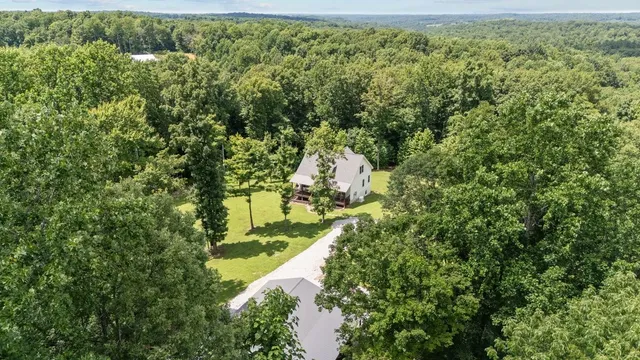 a view of a yard with plants and large trees