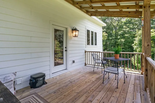 a plant view in yard