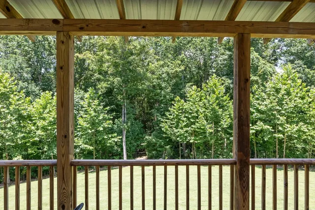 a view of a lush green forest