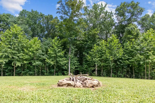 a view of a backyard with large trees