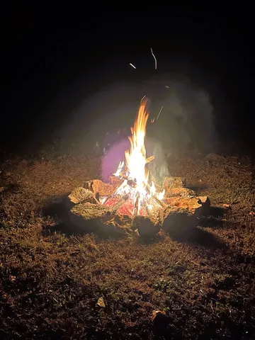 a view of backyard with green space and trampoline