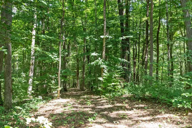 $875,000 | 5382 Highway 49, Vanleer, TN 37181