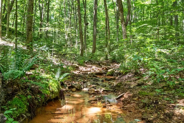 $875,000 | 5382 Highway 49, Vanleer, TN 37181