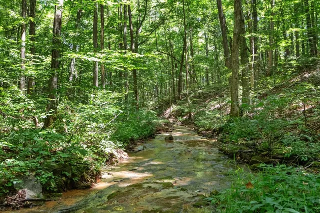 $875,000 | 5382 Highway 49, Vanleer, TN 37181