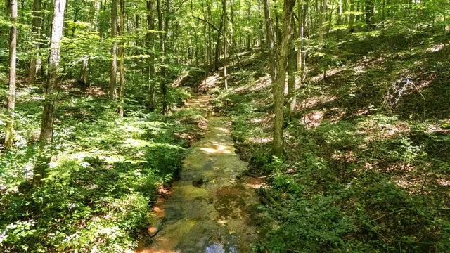 $875,000 | 5382 Highway 49, Vanleer, TN 37181