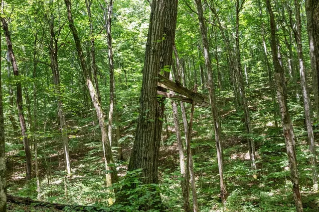 $875,000 | 5382 Highway 49, Vanleer, TN 37181