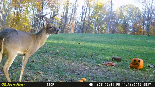 $875,000 | 5382 Highway 49, Vanleer, TN 37181