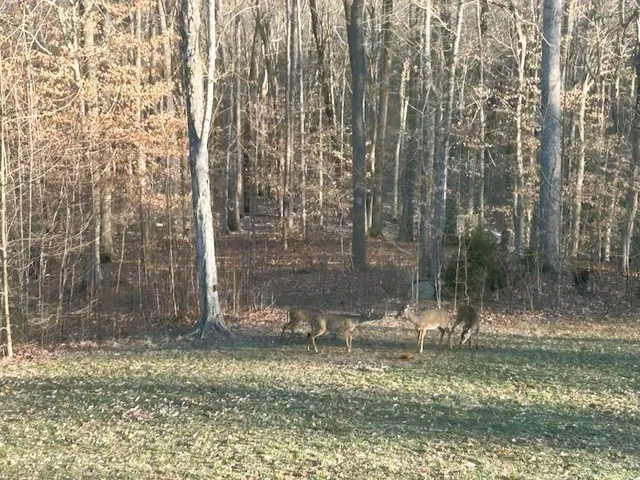 $875,000 | 5382 Highway 49, Vanleer, TN 37181