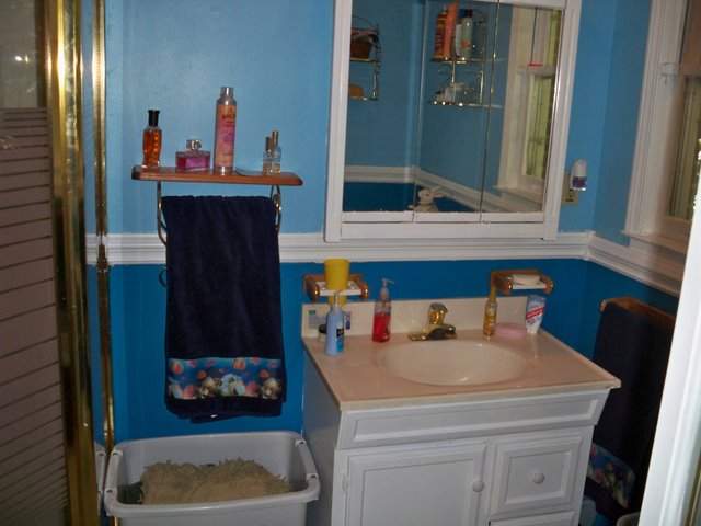 209 Clarke Stream Drive Anderson, SC 29621 - Photo 16 of 25 Gallery Image 16