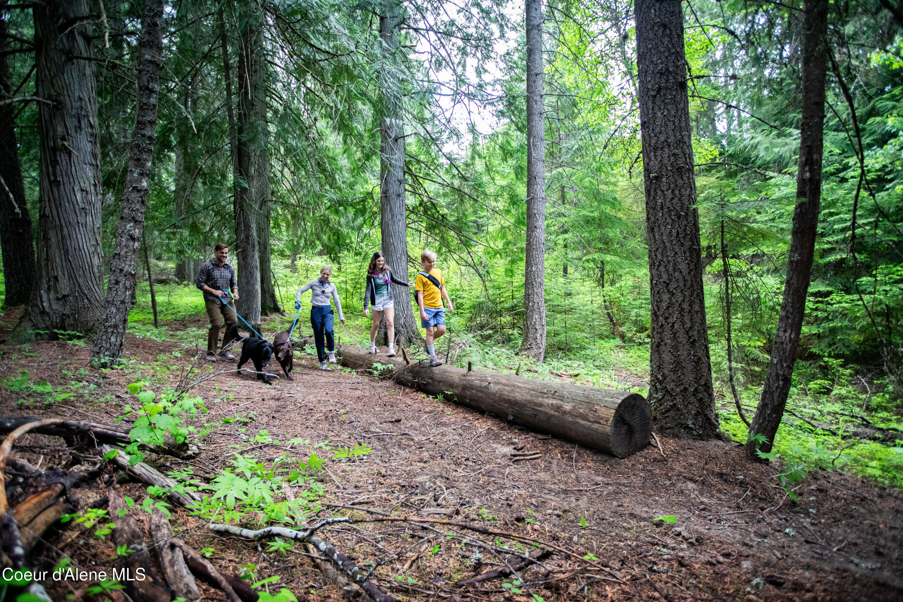 5699 West Rivelle Court Coeur D'Alene, ID 83814 - Photo 15 of 34 Hiking Trails