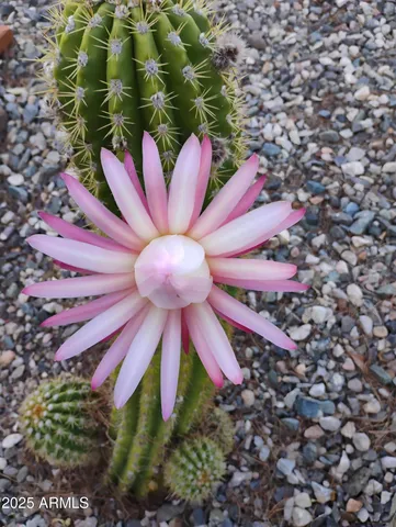a view of a balcony with wooden floor