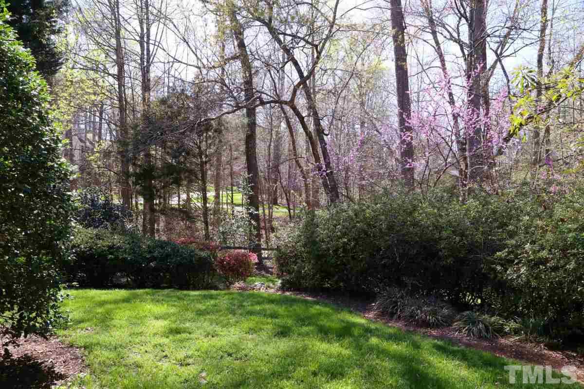 8800 Old Tom Way Raleigh, NC 27613 - Photo 22 of 25 a view of green field with trees
