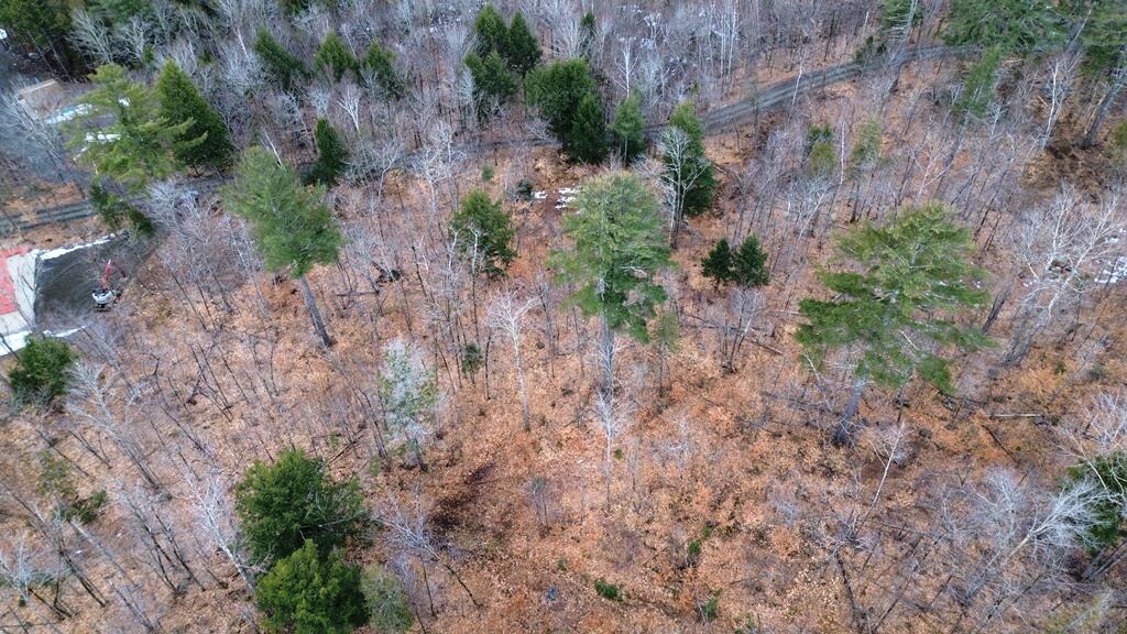 Lot 6 Peterson Road Dover-Foxcroft, ME 04426 - Photo 3 of 21 DJI_0012