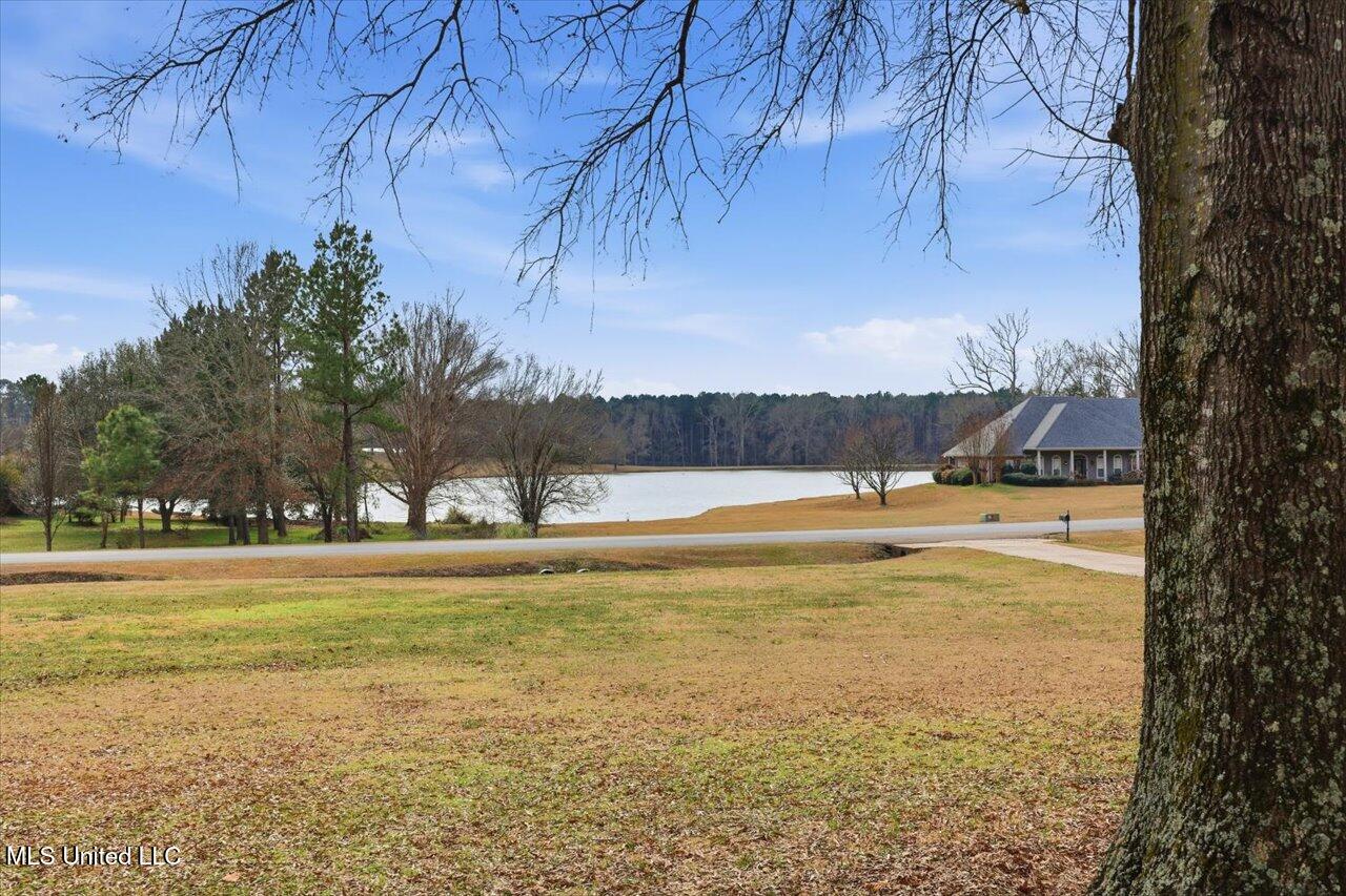 124 Dominion Parkway Brandon, MS 39042 - Photo 13 of 89 10-124 Dominion Pkwy _ Home Tours MS