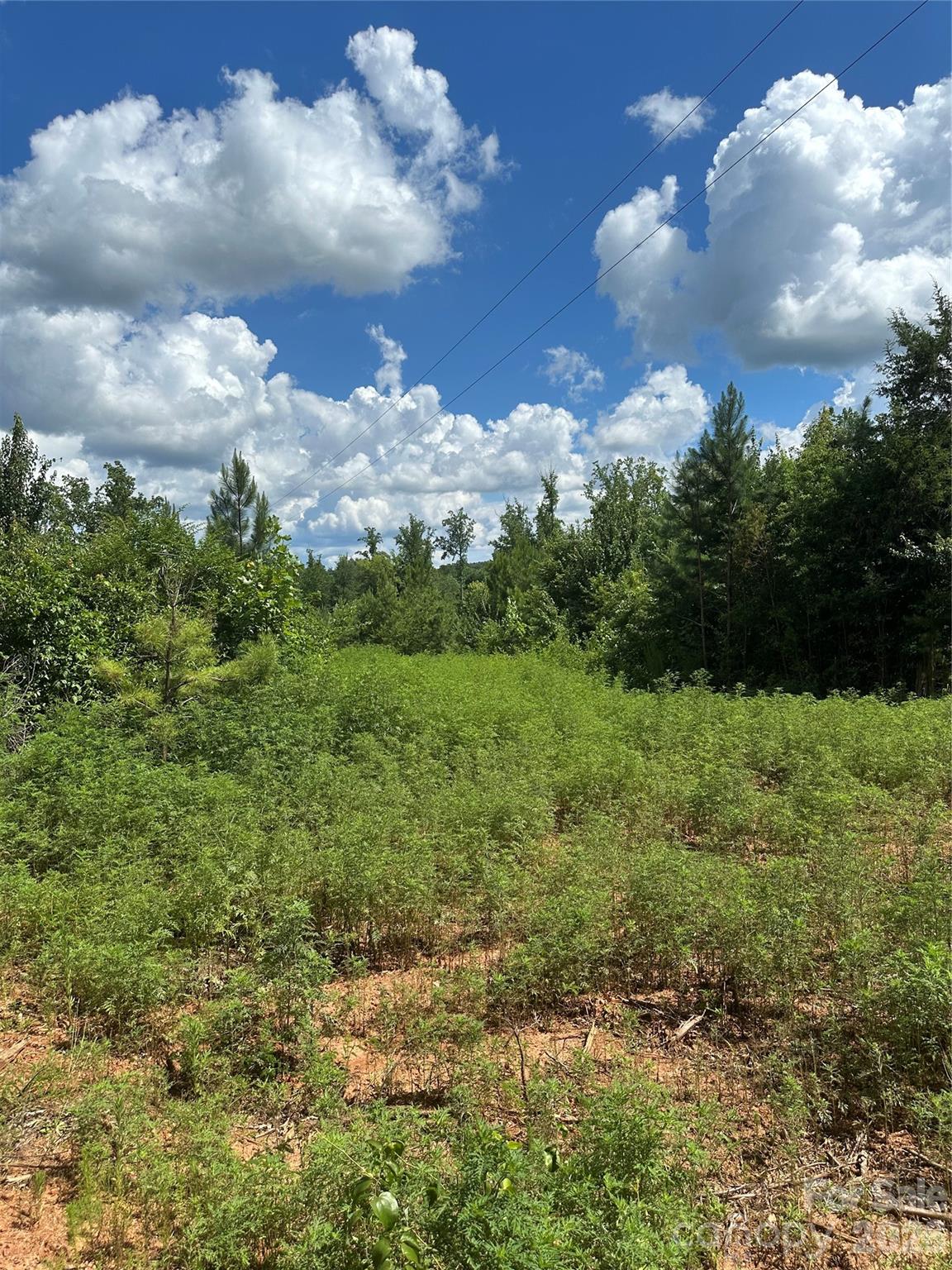 0 Mauney Road Bessemer City, NC 28016 - Photo 2 of 3 a view of a city