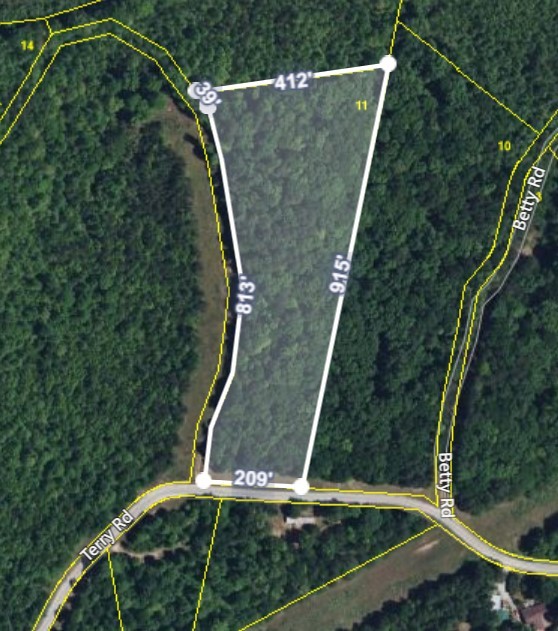 0 Shirley Road Waynesboro, TN 38485 - Photo 1 of 8 Gallery Image 1