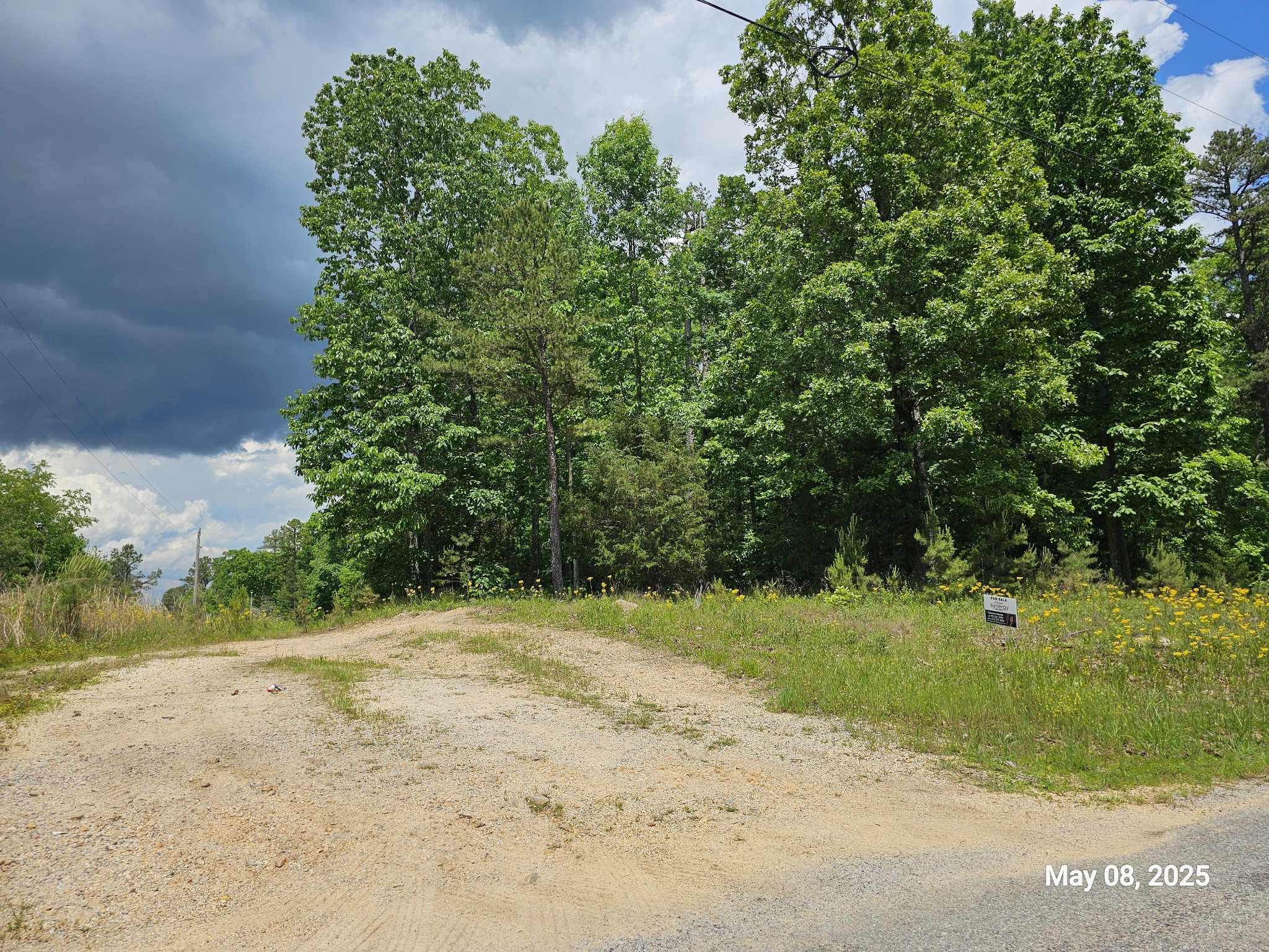 0 Shirley Road Waynesboro, TN 38485 - Photo 4 of 8 Gallery Image 4
